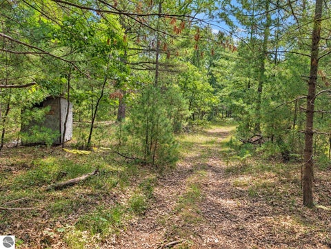 Tiny photo for 3395 W Chappel Woods Trail, National City, MI 48748 (MLS # 1950490)