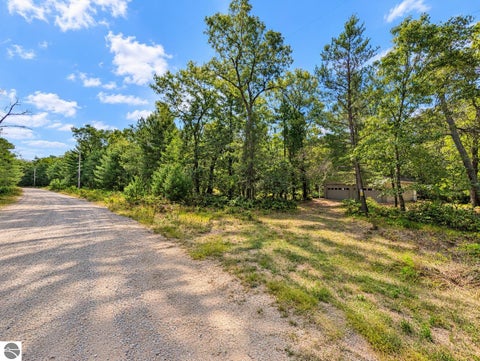 Tiny photo for 3395 W Chappel Woods Trail, National City, MI 48748 (MLS # 1950490)