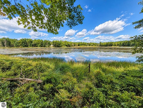 Tiny photo for 3395 W Chappel Woods Trail, National City, MI 48748 (MLS # 1950490)