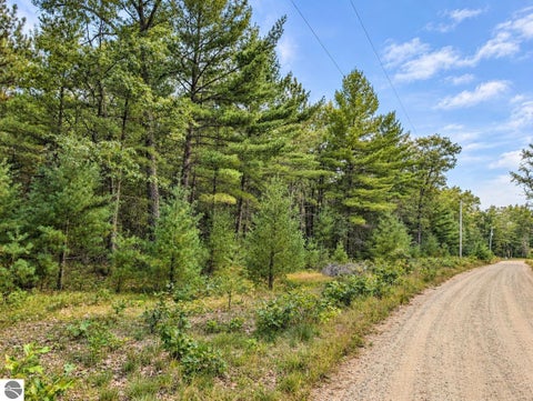 Tiny photo for 3395 W Chappel Woods Trail, National City, MI 48748 (MLS # 1950490)