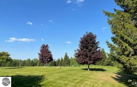 Tiny photo for 160 Fairview Drive, Manton, MI 49663 (MLS # 1943674)