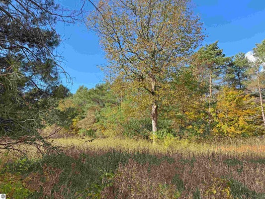 14XXX BROWNELL ROAD, BEULAH, MI 49617 - Image 8f3dbe459346f6030c7e5b5884eb8b4f/3920052092
