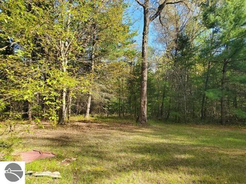 Tiny photo for 4022 Chippewa Trail, Hale, MI 48739 (MLS # 1945596)