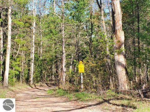 Tiny photo for 4022 Chippewa Trail, Hale, MI 48739 (MLS # 1945596)