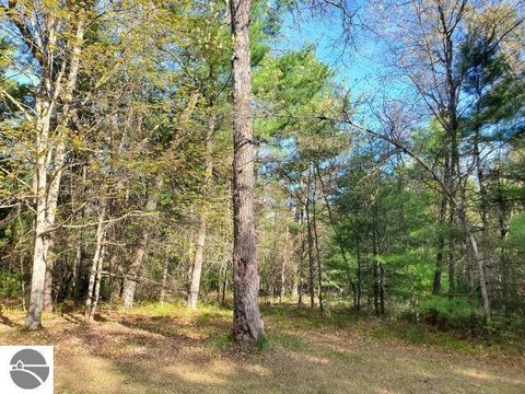 Tiny photo for 4022 Chippewa Trail, Hale, MI 48739 (MLS # 1945596)