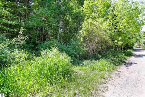 Tiny photo for 55055493 Indian Trail, Frankfort, MI 49635 (MLS # 1946812)