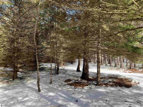 Tiny photo for 319 Lund Road, Fife Lake, MI 49633 (MLS # 1943395)