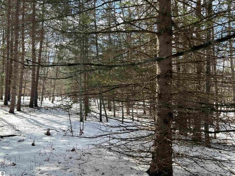 Tiny photo for 319 Lund Road, Fife Lake, MI 49633 (MLS # 1943395)