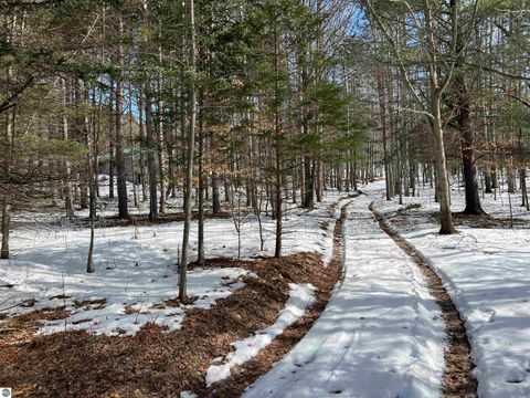 Tiny photo for 319 Lund Road, Fife Lake, MI 49633 (MLS # 1943395)