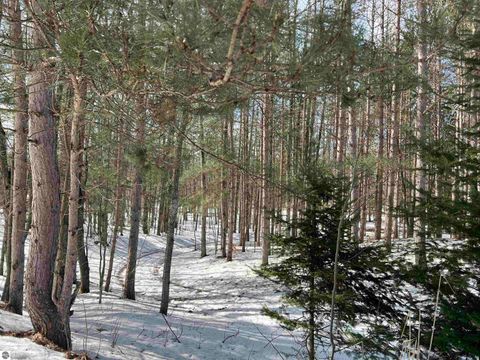 Tiny photo for 319 Lund Road, Fife Lake, MI 49633 (MLS # 1943395)