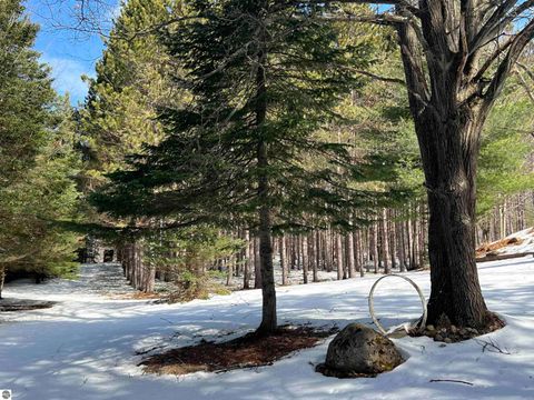 Tiny photo for 319 Lund Road, Fife Lake, MI 49633 (MLS # 1943395)