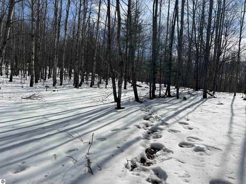 Tiny photo for 319 Lund Road, Fife Lake, MI 49633 (MLS # 1943395)