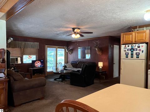 Tiny photo for 319 Lund Road, Fife Lake, MI 49633 (MLS # 1943395)
