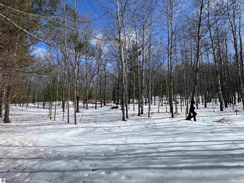 Tiny photo for 319 Lund Road, Fife Lake, MI 49633 (MLS # 1943395)