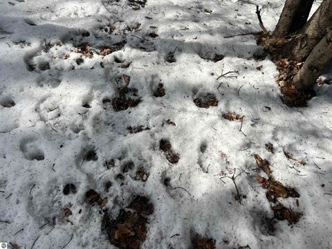 Tiny photo for 319 Lund Road, Fife Lake, MI 49633 (MLS # 1943395)