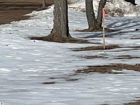 Tiny photo for 319 Lund Road, Fife Lake, MI 49633 (MLS # 1943395)