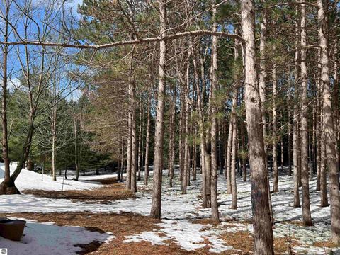 Tiny photo for 319 Lund Road, Fife Lake, MI 49633 (MLS # 1943395)