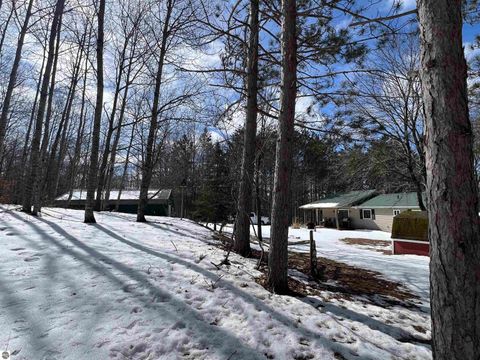 Tiny photo for 319 Lund Road, Fife Lake, MI 49633 (MLS # 1943395)