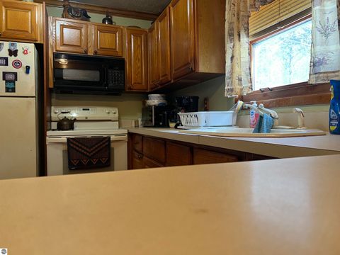 Tiny photo for 319 Lund Road, Fife Lake, MI 49633 (MLS # 1943395)