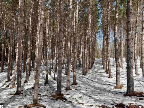 Tiny photo for 319 Lund Road, Fife Lake, MI 49633 (MLS # 1943395)