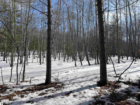 Tiny photo for 319 Lund Road, Fife Lake, MI 49633 (MLS # 1943395)