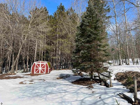 Tiny photo for 319 Lund Road, Fife Lake, MI 49633 (MLS # 1943395)