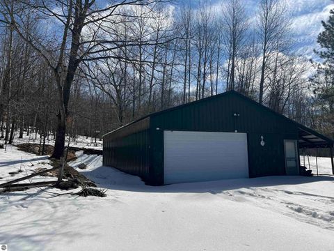 Tiny photo for 319 Lund Road, Fife Lake, MI 49633 (MLS # 1943395)