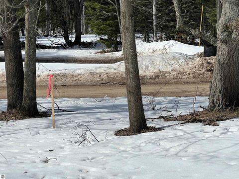 Tiny photo for 319 Lund Road, Fife Lake, MI 49633 (MLS # 1943395)