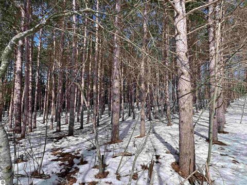 Tiny photo for 319 Lund Road, Fife Lake, MI 49633 (MLS # 1943395)