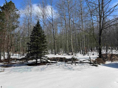Tiny photo for 319 Lund Road, Fife Lake, MI 49633 (MLS # 1943395)