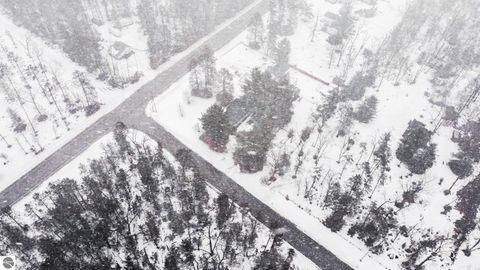 Tiny photo for 5491 E Esmond Road, Hale, MI 48739 (MLS # 1942442)