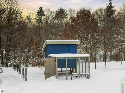 Tiny photo for 9131 W Jennings Road, Lake City, MI 49651 (MLS # 1941818)