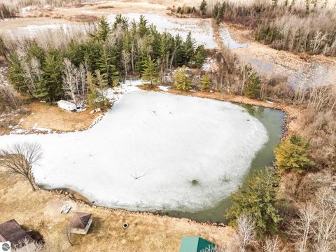Tiny photo for 89 River Drive, Merritt, MI 49667 (MLS # 1943438)