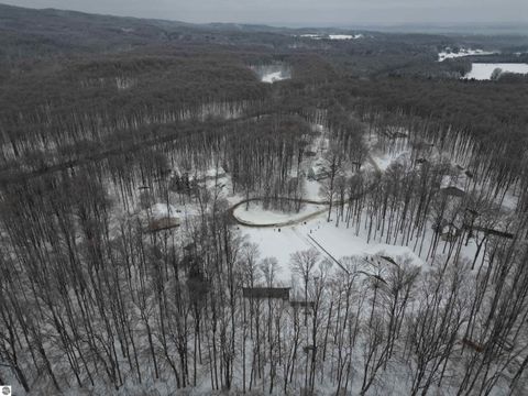 Tiny photo for 4214 Antioch Drive, Mesick, MI 49668 (MLS # 1943100)