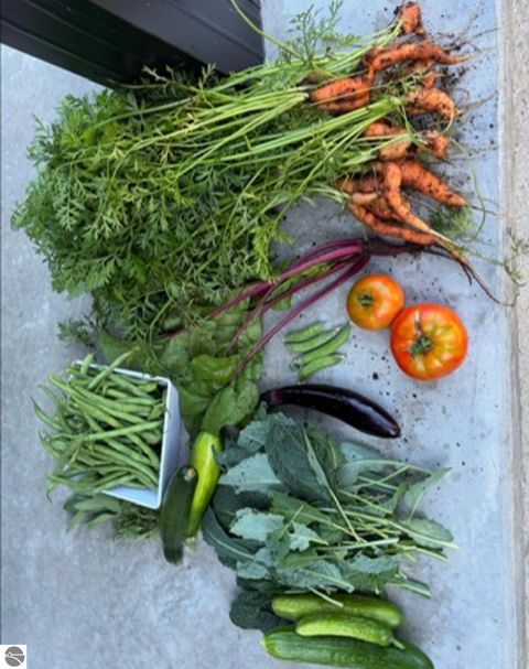 Tiny photo for 4214 Antioch Drive, Mesick, MI 49668 (MLS # 1943100)