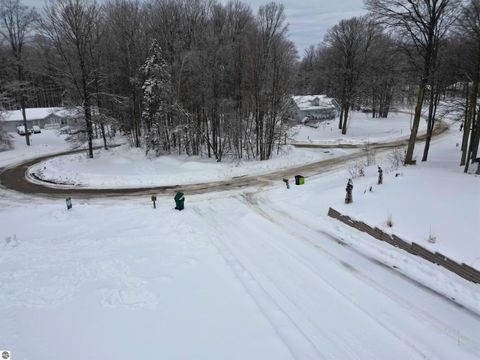 Tiny photo for 4214 Antioch Drive, Mesick, MI 49668 (MLS # 1943100)