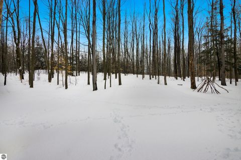 Tiny photo for 4214 Antioch Drive, Mesick, MI 49668 (MLS # 1943100)