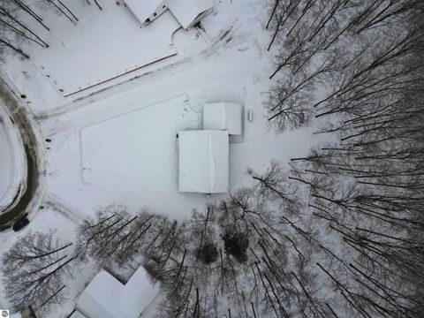 Tiny photo for 4214 Antioch Drive, Mesick, MI 49668 (MLS # 1943100)