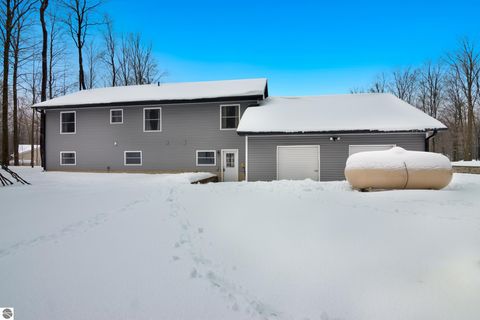 Tiny photo for 4214 Antioch Drive, Mesick, MI 49668 (MLS # 1943100)