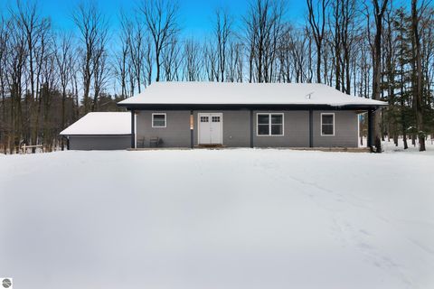 Tiny photo for 4214 Antioch Drive, Mesick, MI 49668 (MLS # 1943100)