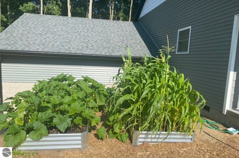 Tiny photo for 4214 Antioch Drive, Mesick, MI 49668 (MLS # 1943100)