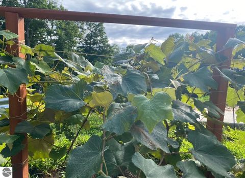 Tiny photo for 4214 Antioch Drive, Mesick, MI 49668 (MLS # 1943100)