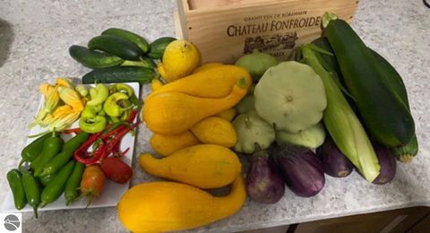 Tiny photo for 4214 Antioch Drive, Mesick, MI 49668 (MLS # 1943100)