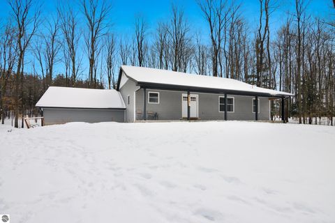 Tiny photo for 4214 Antioch Drive, Mesick, MI 49668 (MLS # 1943100)