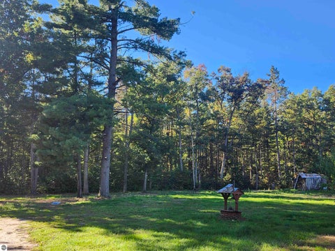 Tiny photo for 5810 E Esmond Road, Hale, MI 48739 (MLS # 1951270)