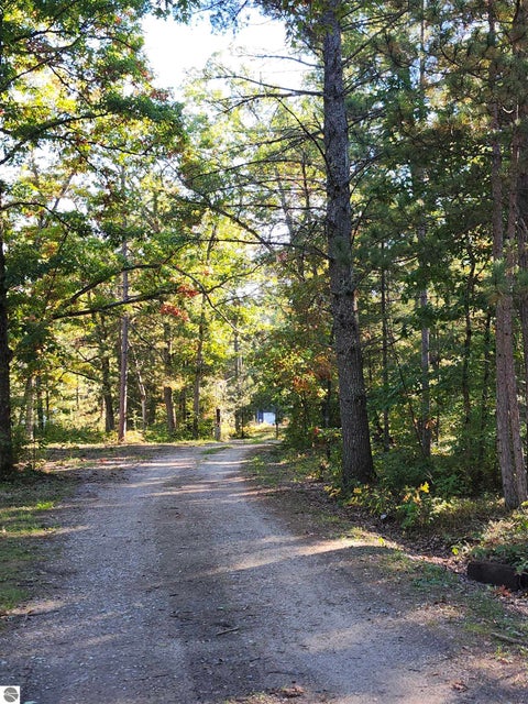 Tiny photo for 5810 E Esmond Road, Hale, MI 48739 (MLS # 1951270)