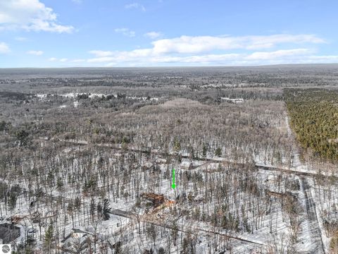 Tiny photo for 17432 Jennifer Drive, Wellston, MI 49689 (MLS # 1942321)