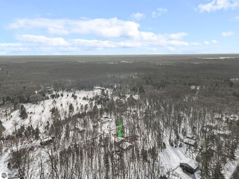 Tiny photo for 17432 Jennifer Drive, Wellston, MI 49689 (MLS # 1942321)