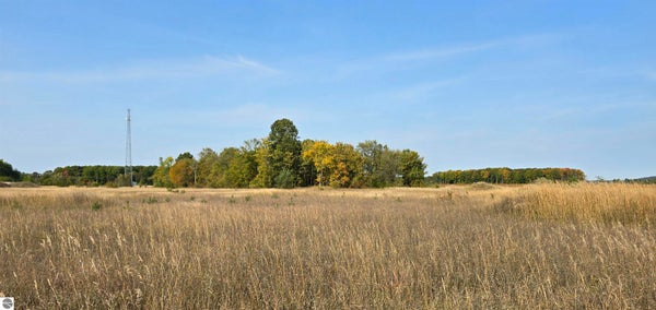 8620 FRANCIS RD, ELMIRA, MI 49730 - Image 9263a1621fb81bc37fe92b4e4aea80e9/1403917911