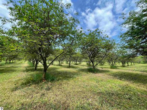 Tiny photo for S Lee Point Road, Suttons Bay, MI 49682 (MLS # 1938834)